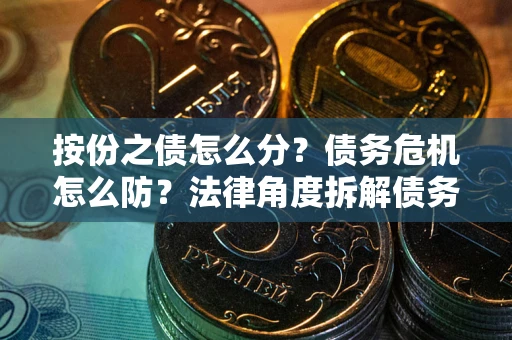 武汉按份之债怎么分？债务危机怎么防？法律角度拆解债务分配与风险自保指南