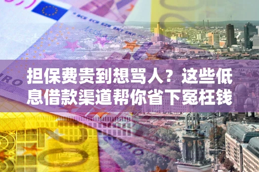 武汉担保费贵到想骂人？这些低息借款渠道帮你省下冤枉钱