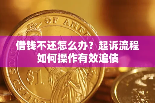 武汉借钱不还怎么办？起诉流程如何操作有效追债