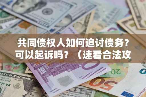 武汉共同债权人如何追讨债务？可以起诉吗？（速看合法攻略）