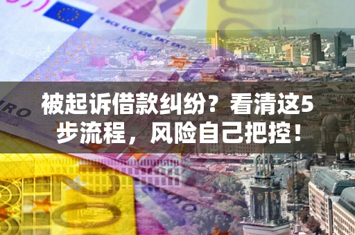 武汉被起诉借款纠纷？看清这5步流程，风险自己把控！