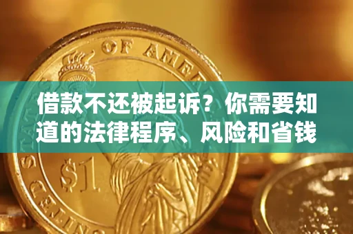 武汉借款不还被起诉？你需要知道的法律程序、风险和省钱技巧